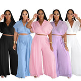 Purpdrank  Elegant Fashion Vacation Casual Outfits Women Two Piece Set Turn-down Collar Crop Top and Wide Leg Pants Matching Sets Birthday