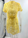 Purpdrank  Yellow Sexy Hollow Out Embroidery Sheer Lace Dress for Women 2025 Fashion Short Sleeve O-Neck Retro Summer Dresses Party Prom