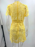 Purpdrank  Yellow Sexy Hollow Out Embroidery Sheer Lace Dress for Women 2025 Fashion Short Sleeve O-Neck Retro Summer Dresses Party Prom