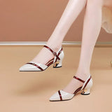 Purpdrank  Korean Version Thick Heels And Shallow Mouth Women'S Shoes, Spring And Summer Fashionable Square Toe Middle Heel Shoes
