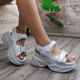 Purpdrank  Silver Chunky Platform Sports Sandals for Women 2025 Summer Hook Loop Wedge Heel Sandals Woman Thick Bottom Casual Sandles Mujer