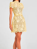 Purpdrank  Yellow Sexy Hollow Out Embroidery Sheer Lace Dress for Women 2025 Fashion Short Sleeve O-Neck Retro Summer Dresses Party Prom