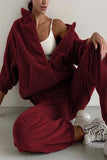 Purpdrank - Casual Solid Zipper Hooded Collar Long Sleeve Two Pieces