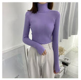 Purpdrank - Women's Turtleneck Sweater Autumn and Winter New Pullover Slim Bottoming Sweater Knitted Casual Long Sleeve Pull Femme 16675