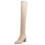 Purpdrank - Sexy High Boots Women New Fashion Over The Knee Warm Botas Mujer Suede Back Zipper Pumps Sock Shoes High Heels Boots