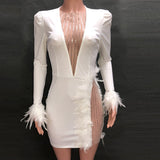 Purpdrank - Women Winter Mini Dress Full Sleeve Mesh See Through Dress Sexy Night Club Bandage Party Feather Elegant Bodycon Dresses GL675